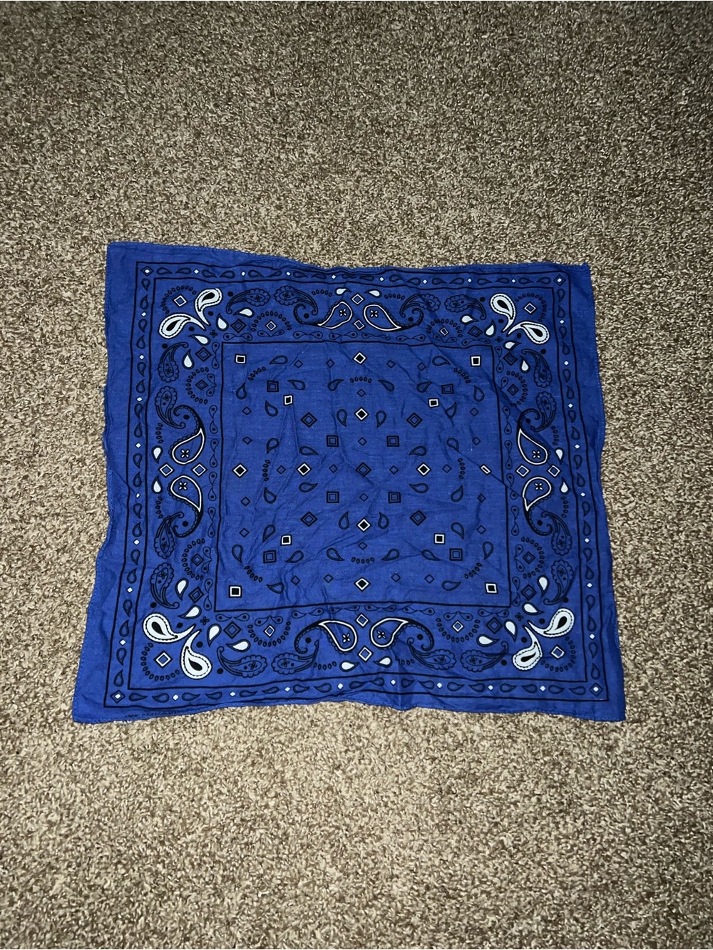 Elephant Vintage OG Blue White Black Paisley Bandana Scarf